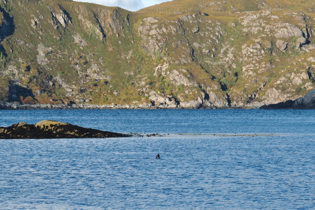 Hermanus