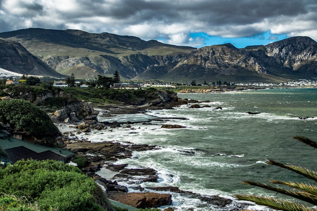 Hermanus