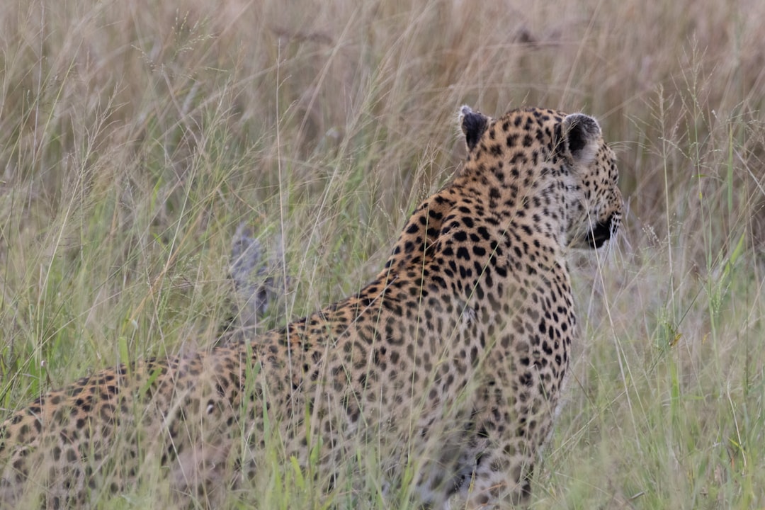 Kruger National Park