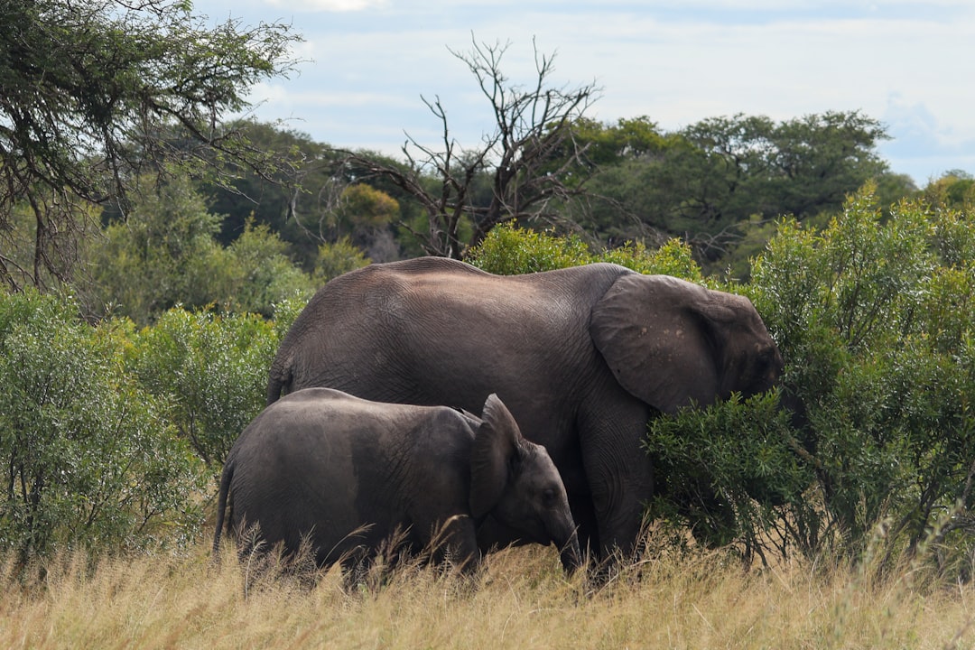 Kruger National Park