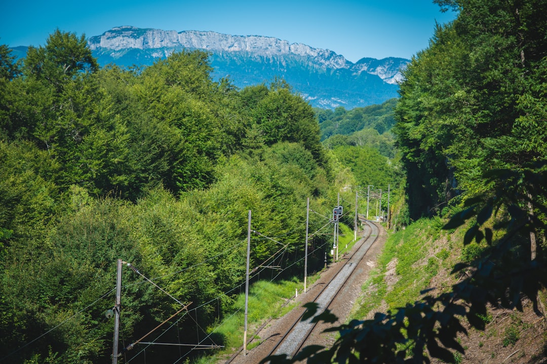 Rovos Rail