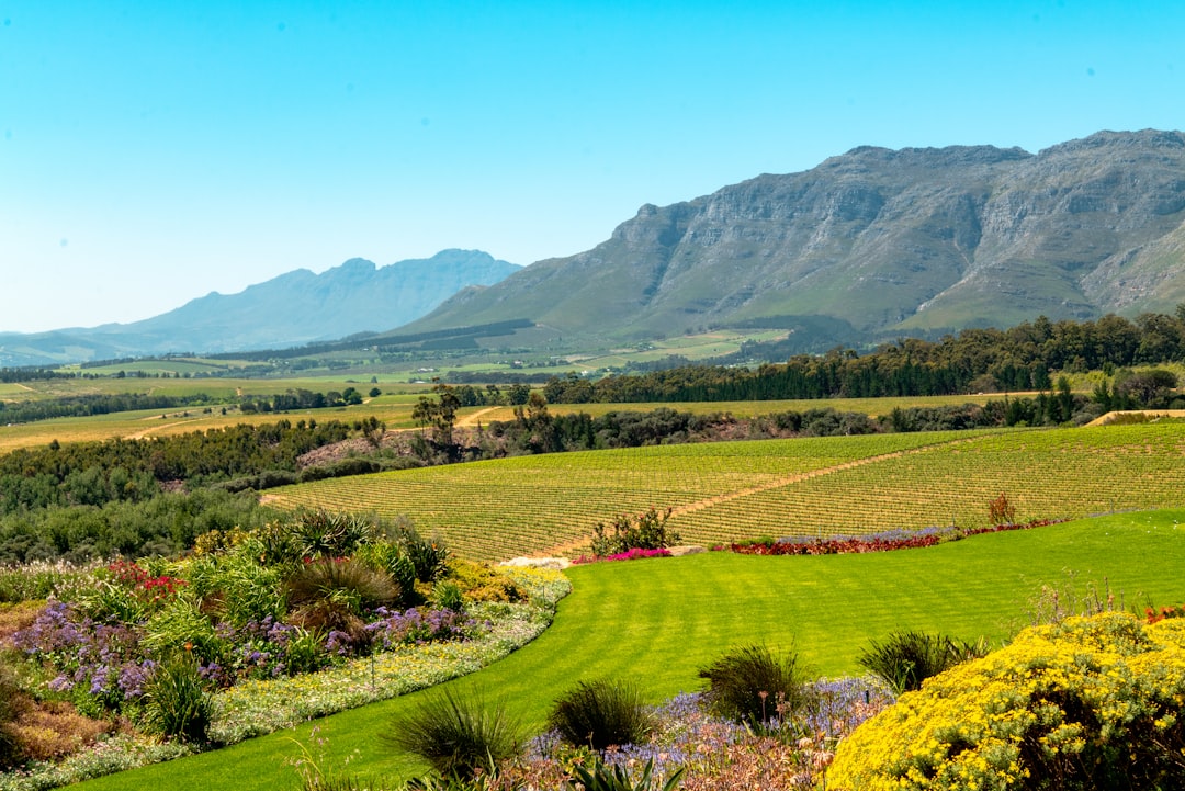 Stellenbosch