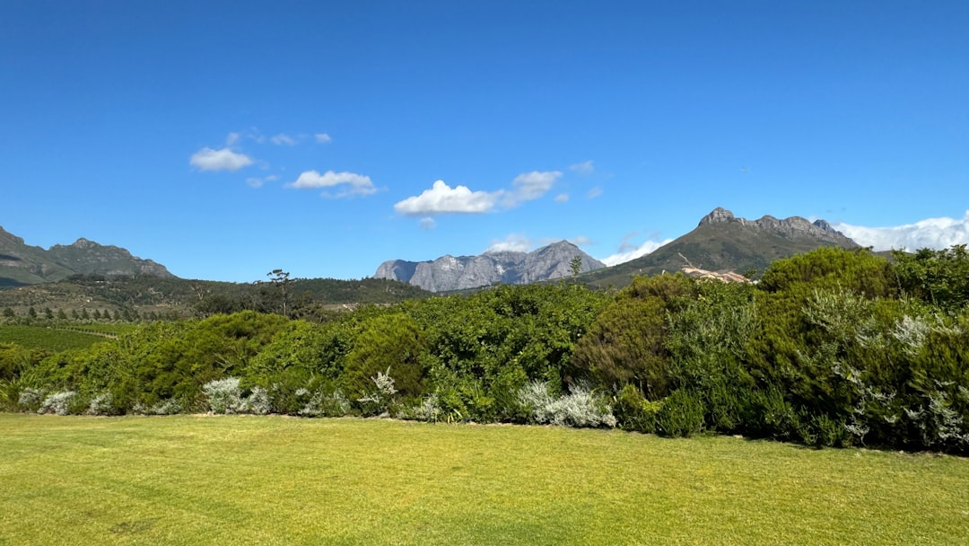 Stellenbosch