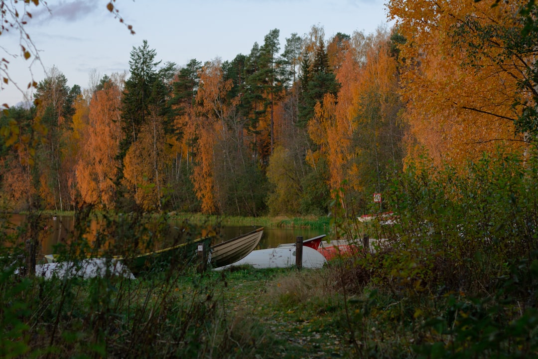 Tsitsikamma