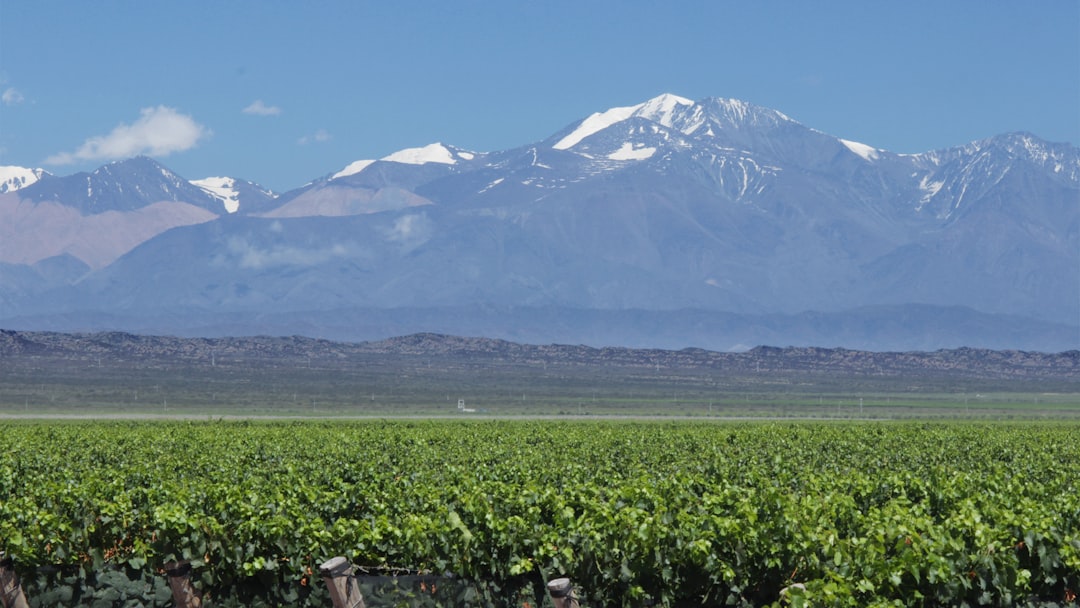 Mendoza