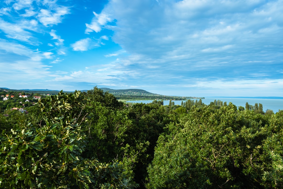 Puerto Bemberg