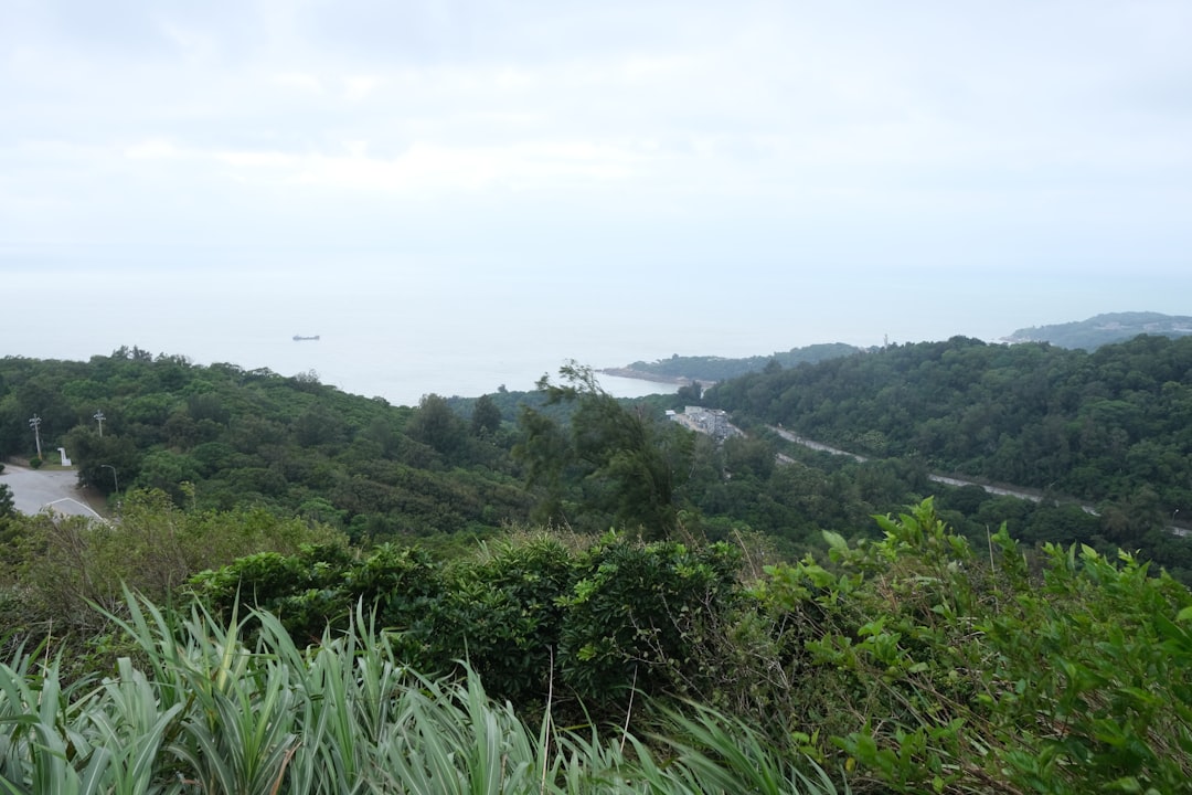 Puerto Bemberg