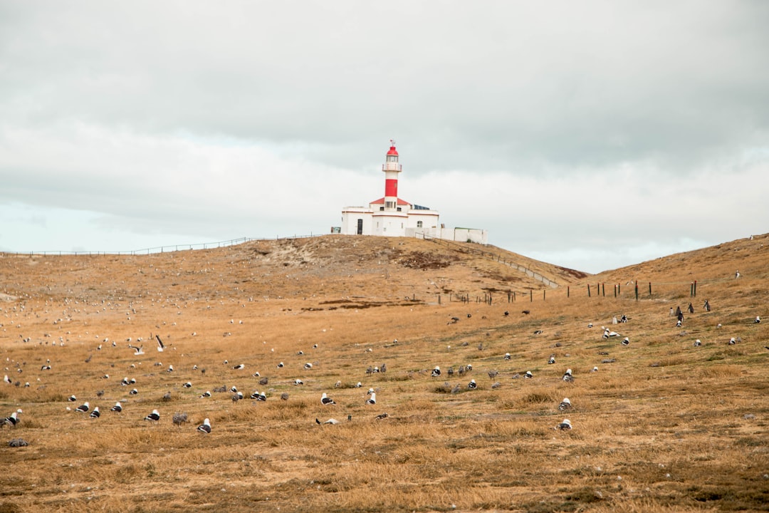 Puerto Natales