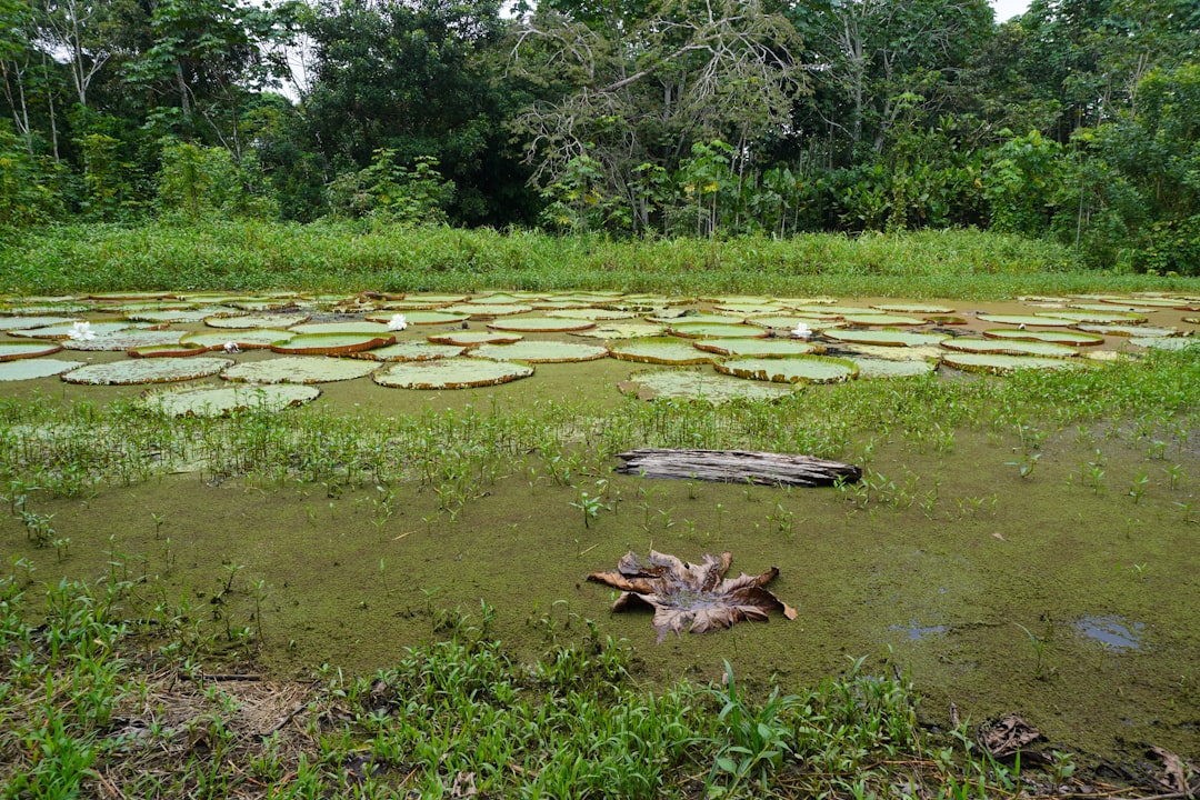Puerto Valle