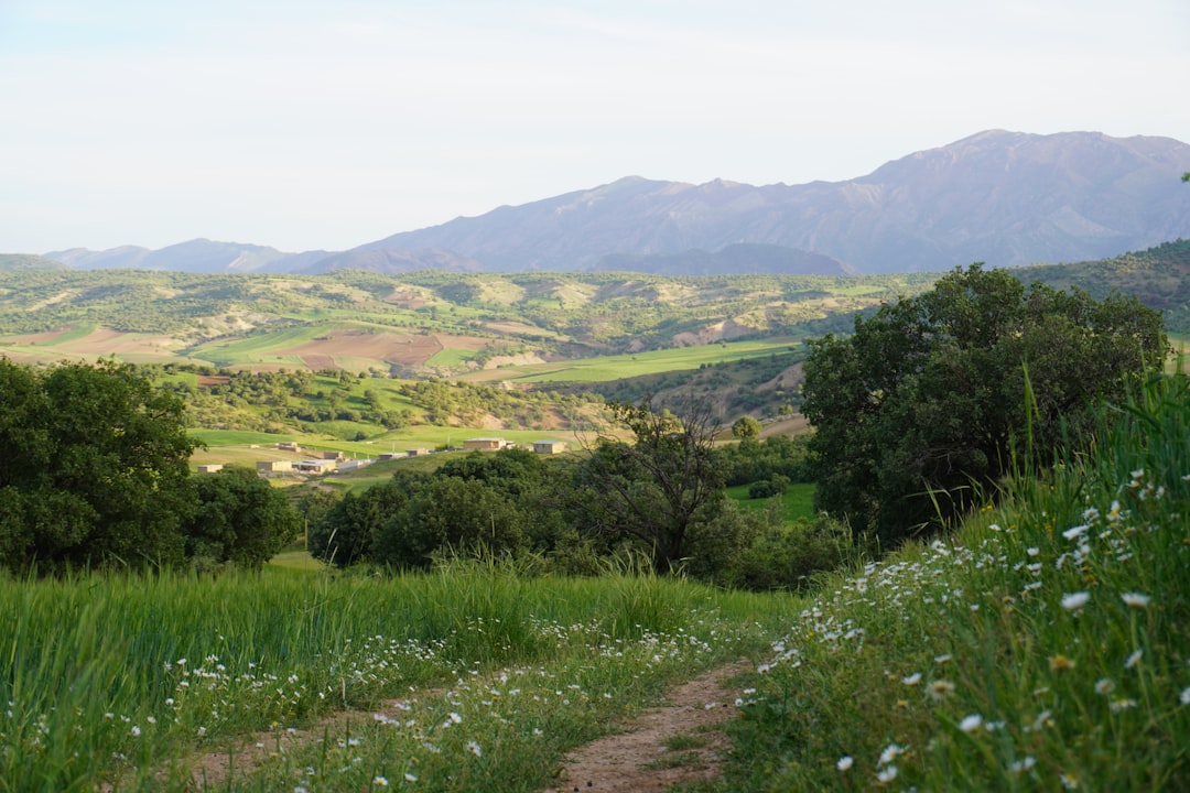 Tafi del Valle