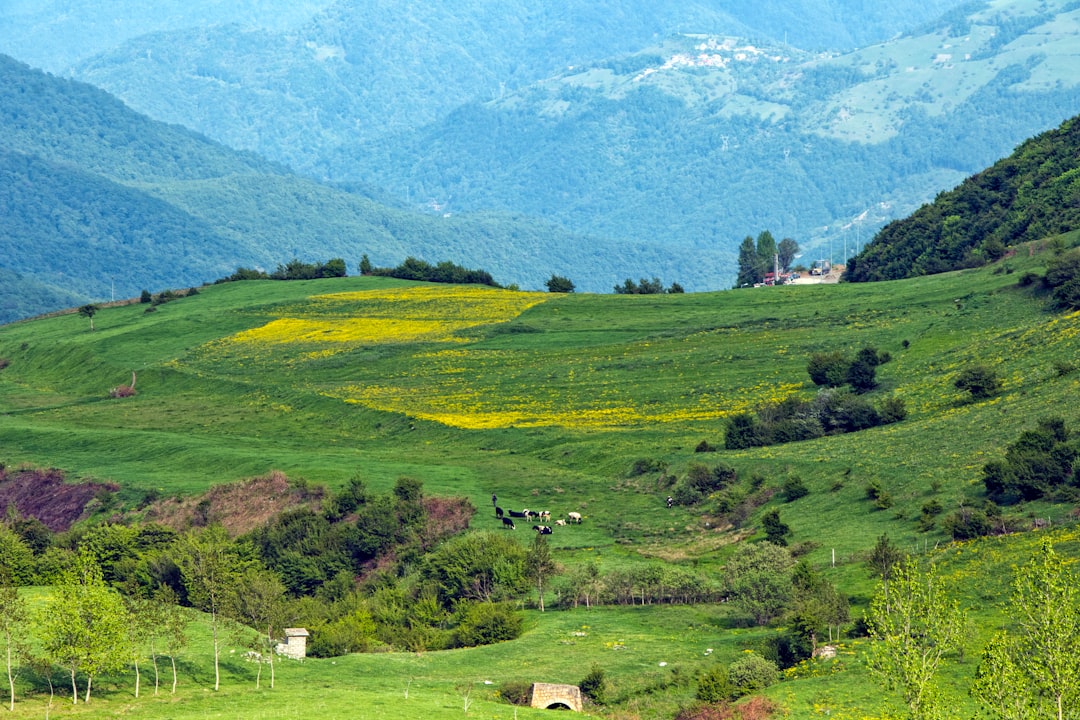 Tafi del Valle