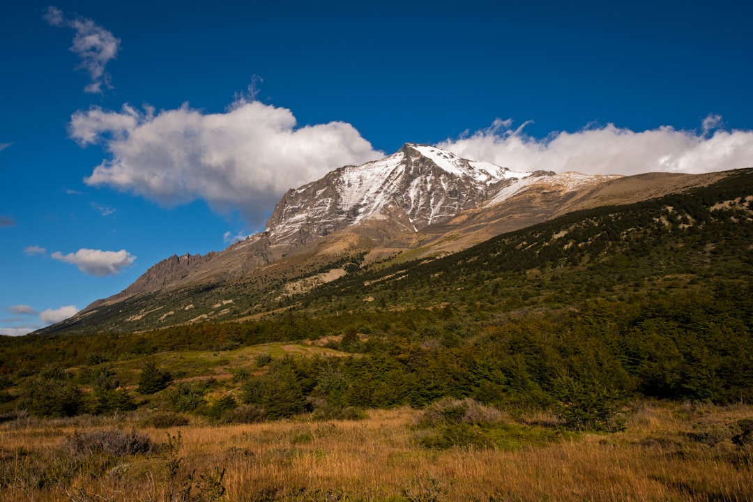 Torres del Paine