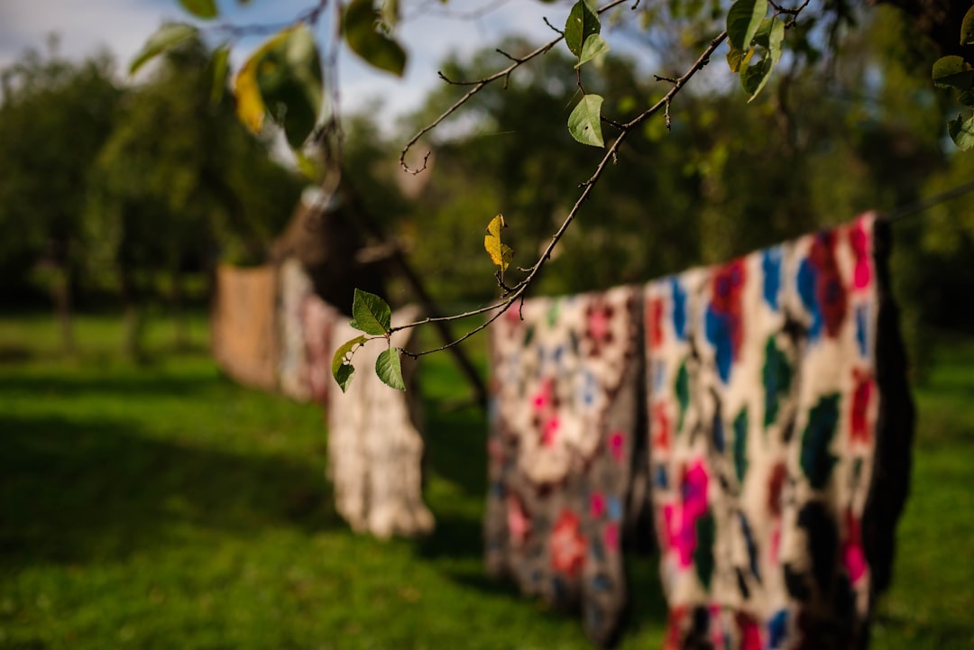 Ecolodge La Estancia