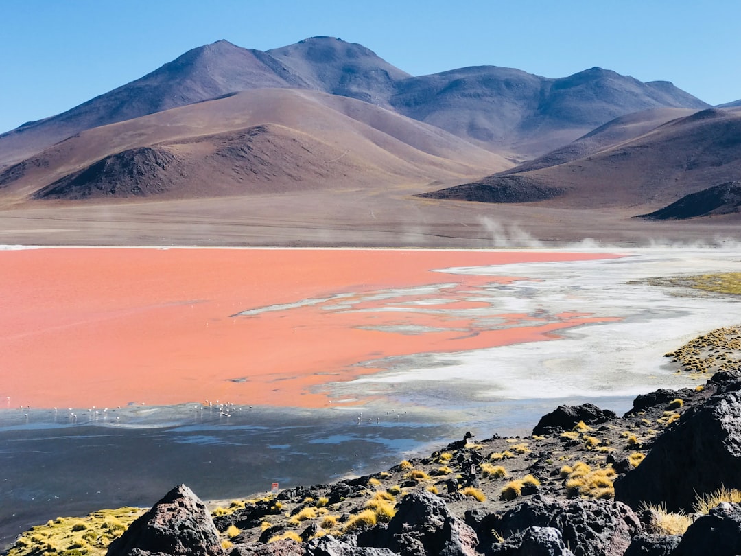 Laguna Colorada