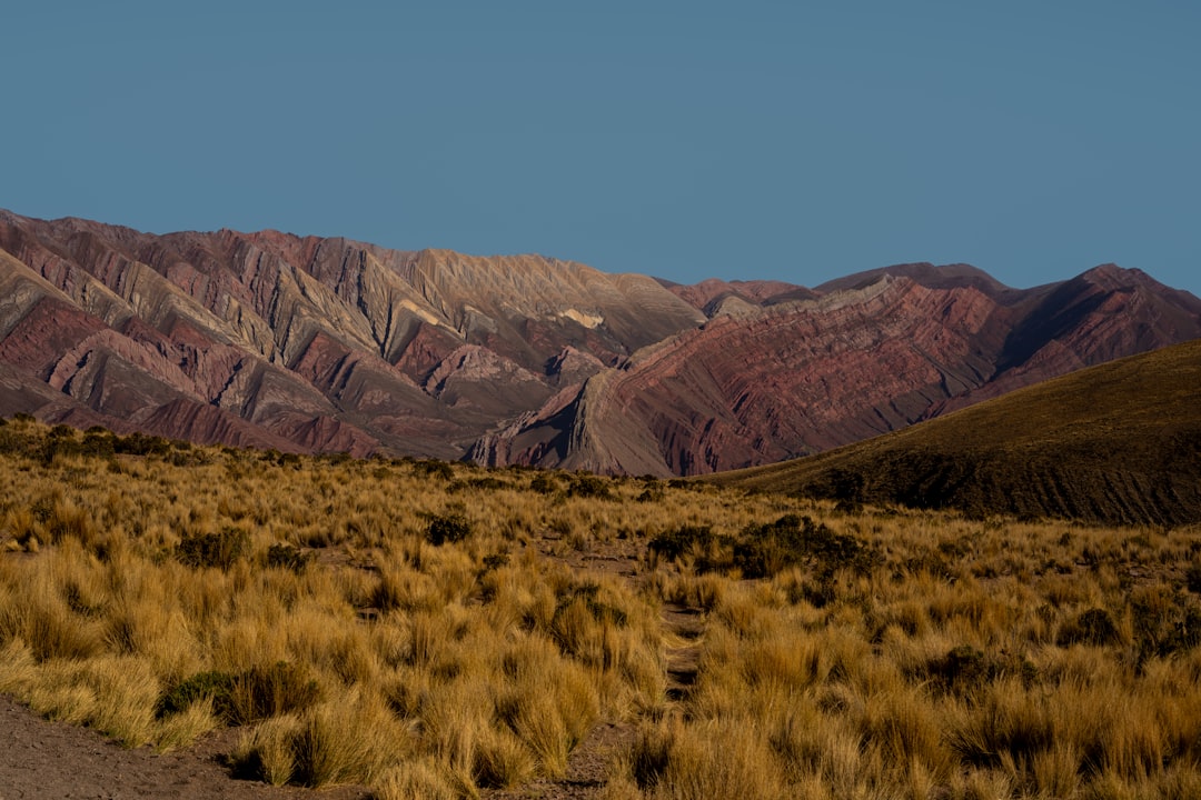 Tayka del Desierto