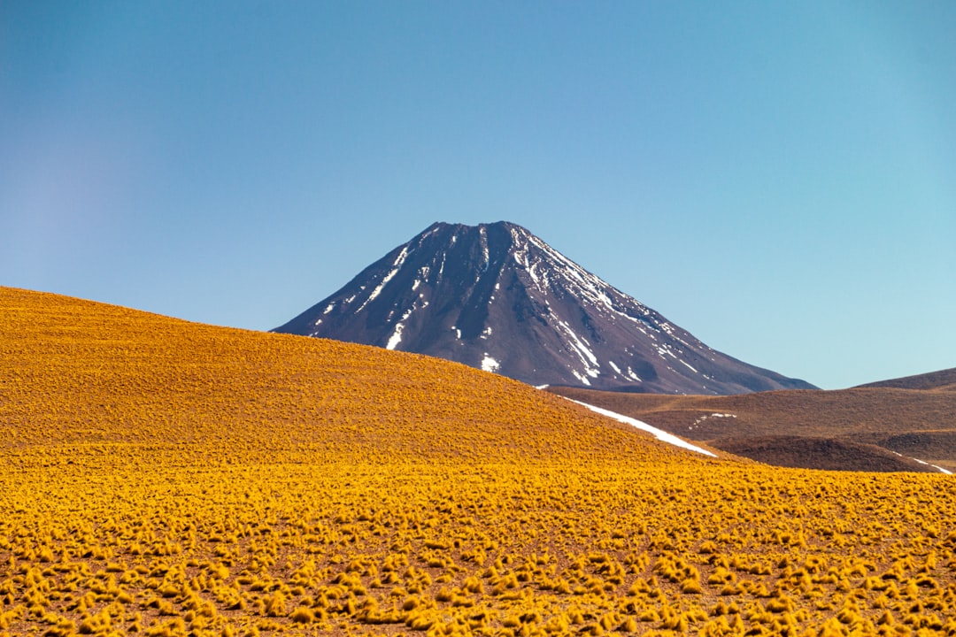 Tayka del Desierto