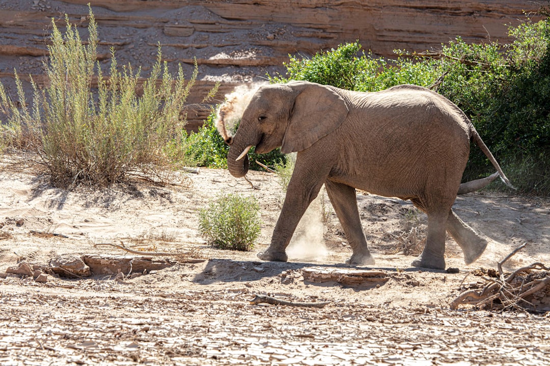 Twyfelfontein