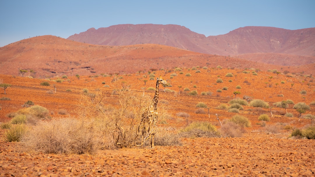 Twyfelfontein