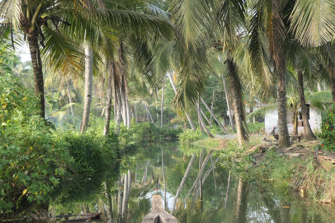 Ben Tre