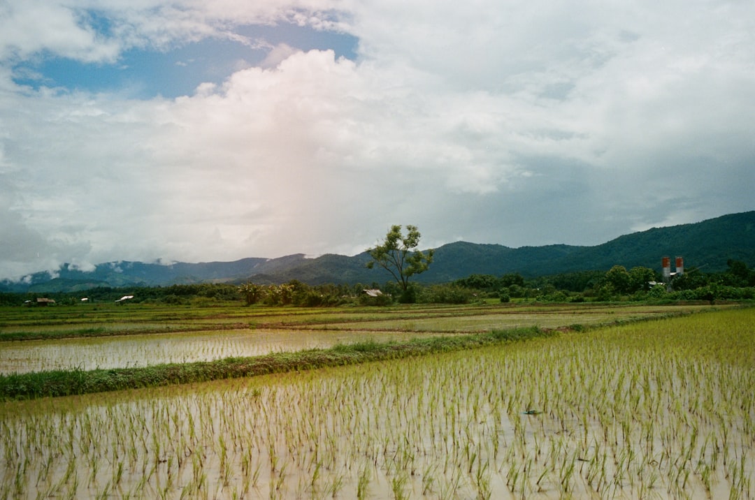 Chiang Rai