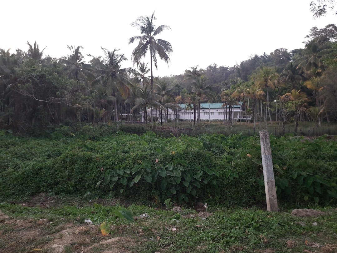 Koh Trong