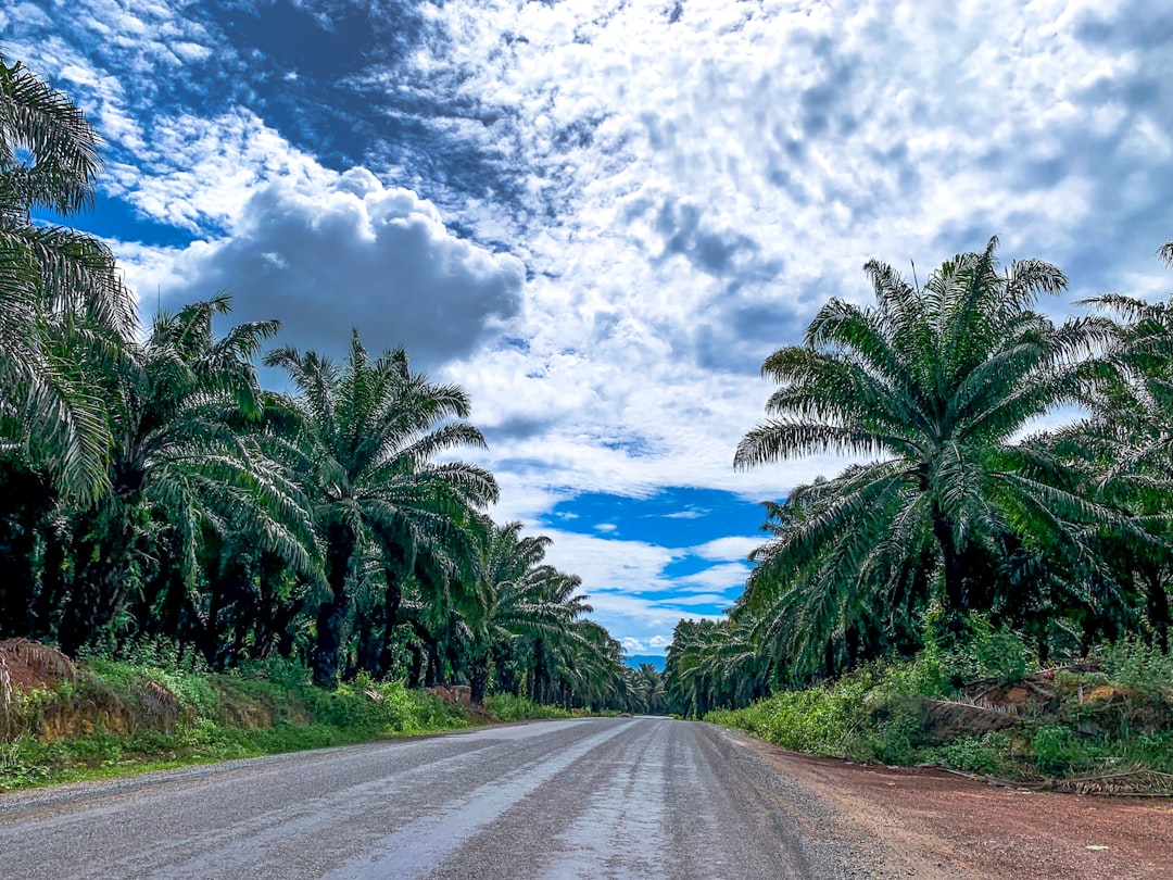 Sihanoukville