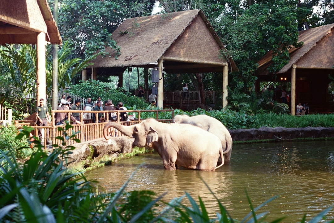 Thaton