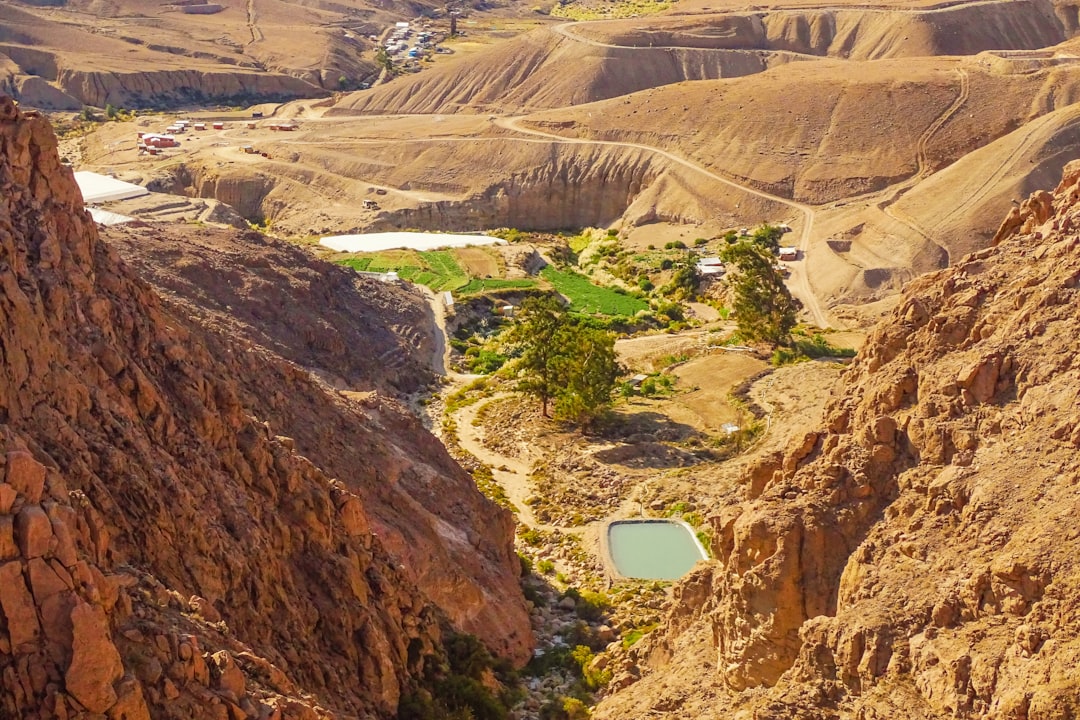 Arica