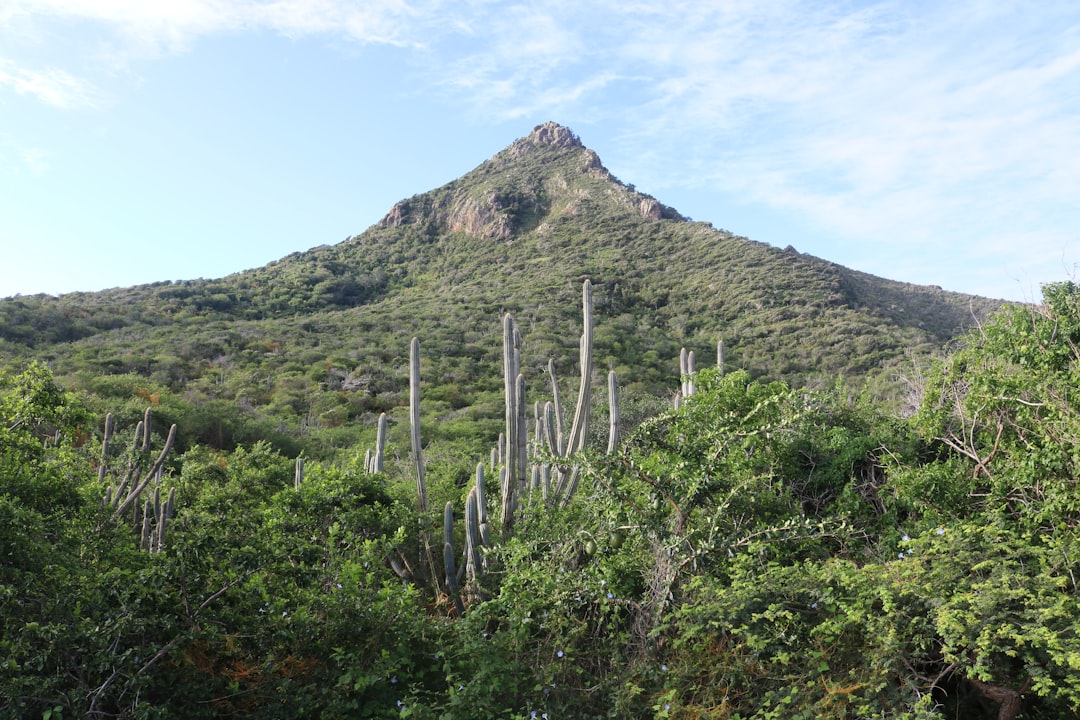 Karukinka