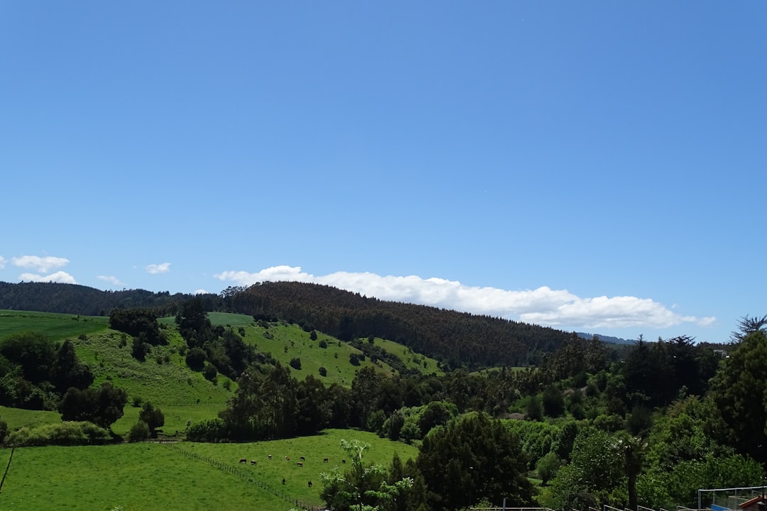 Temuco