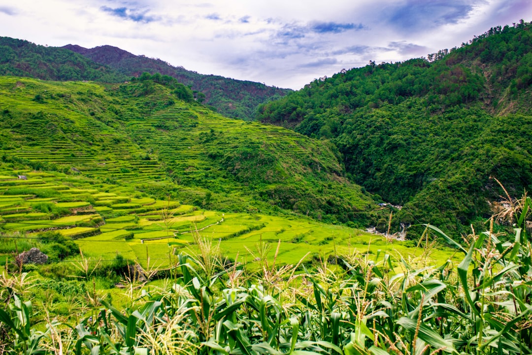 Longsheng