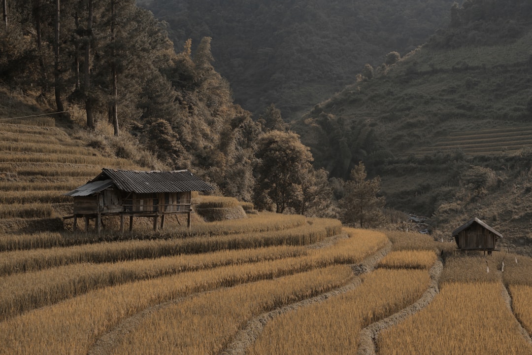 Longsheng