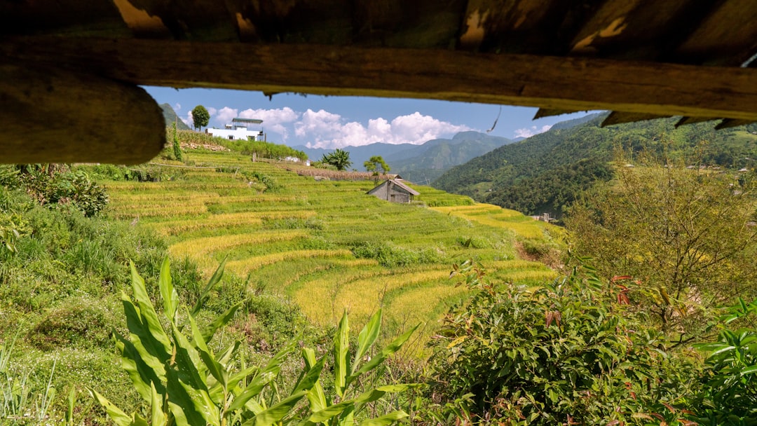 Longsheng
