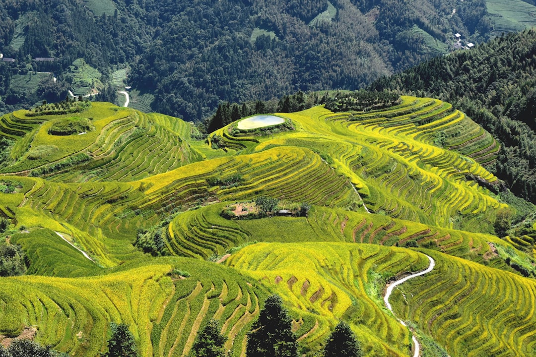 Longsheng