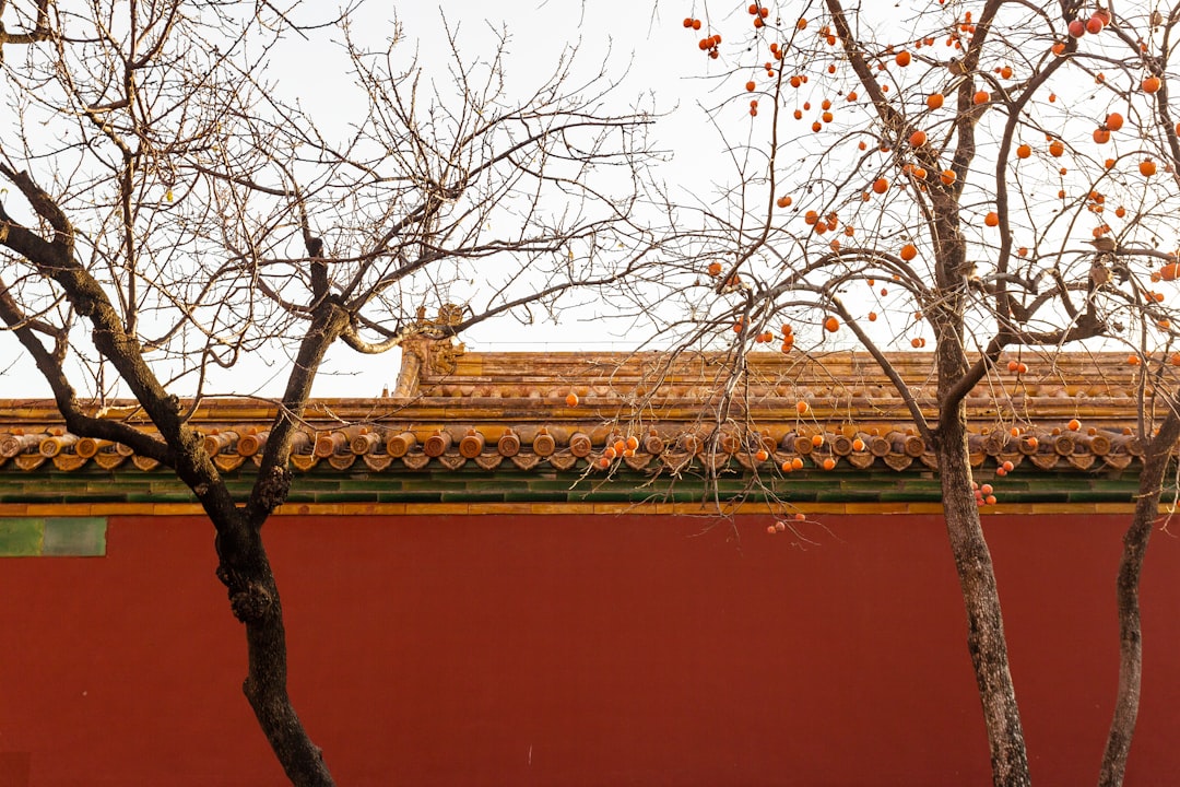 Pékin