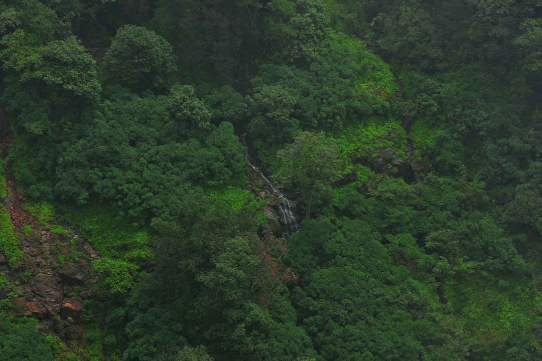 Tiger Leaping Gorge