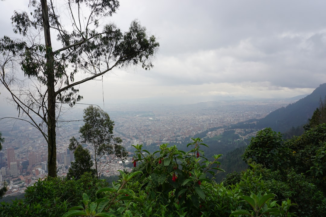 Bogota