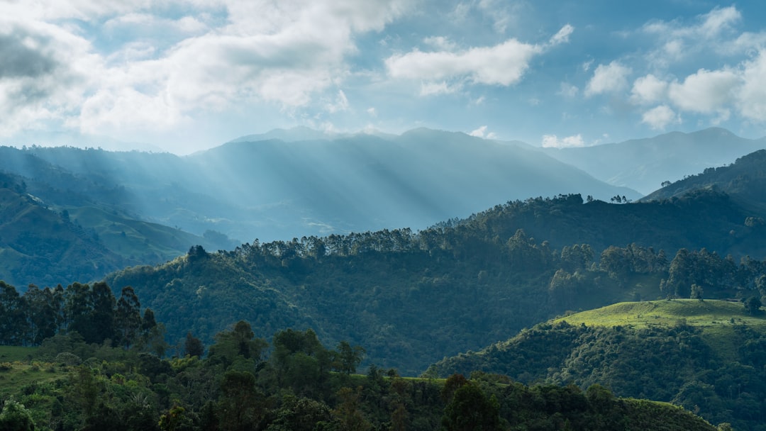 Pereira