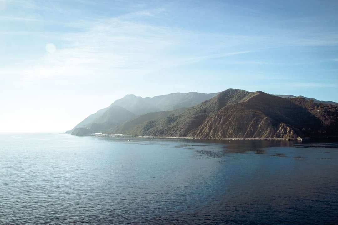 Bahía Ballena