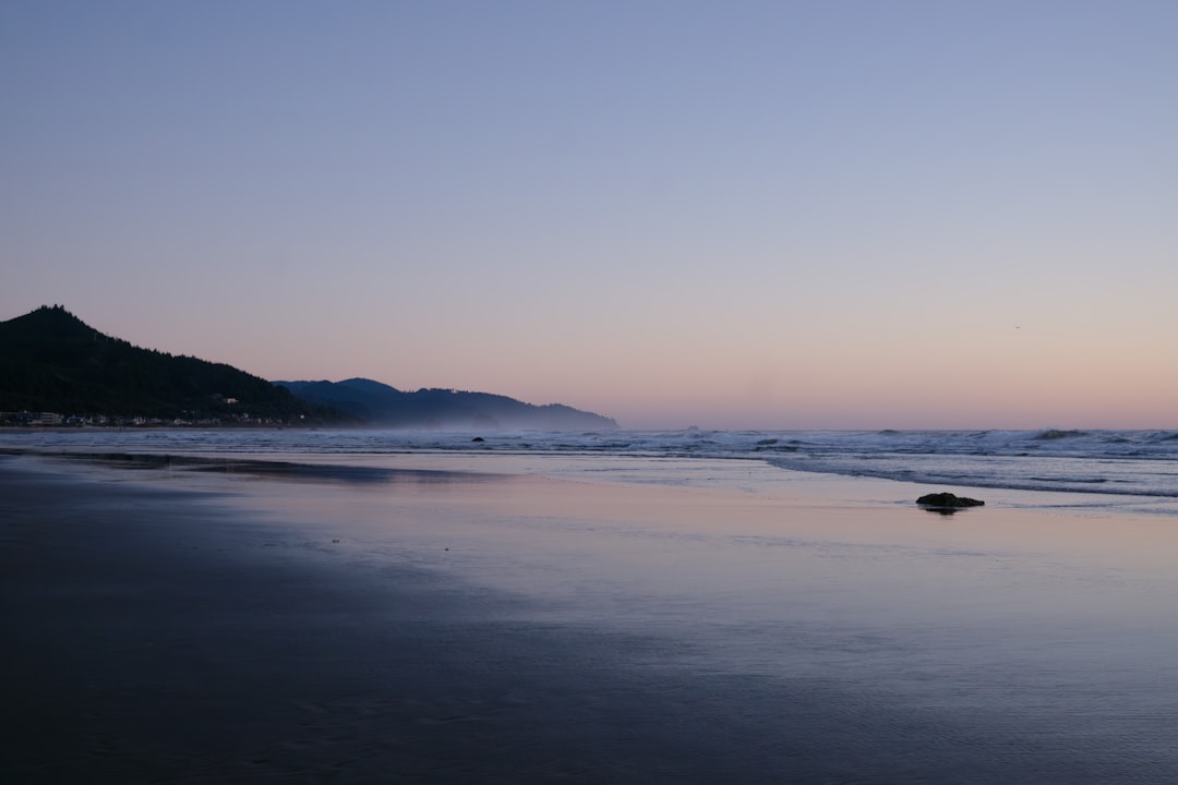 Bahía Ballena