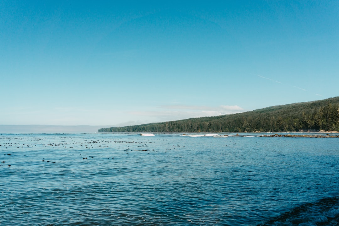 Bahía Ballena