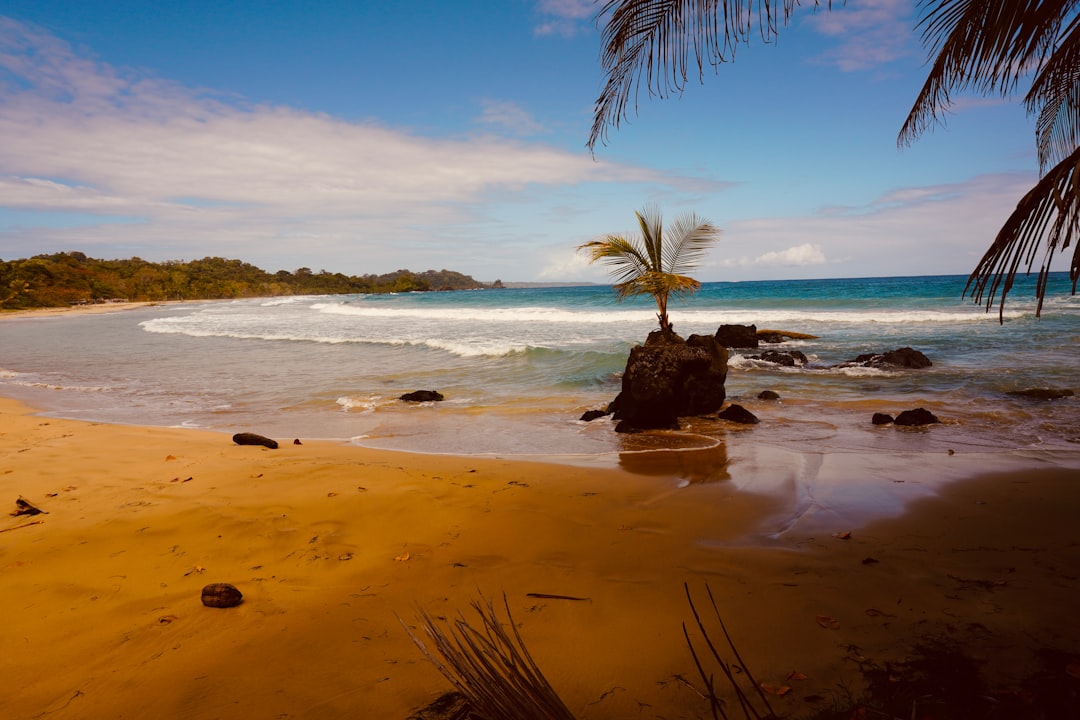 Bocas del Toro
