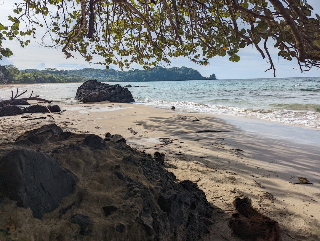 Bocas del Toro