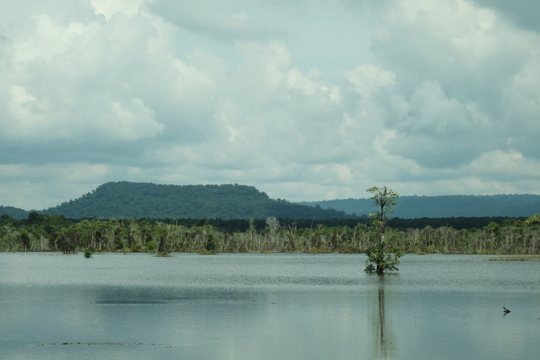Colón