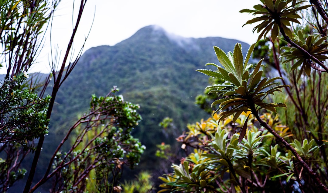 Ile d'Ometepe