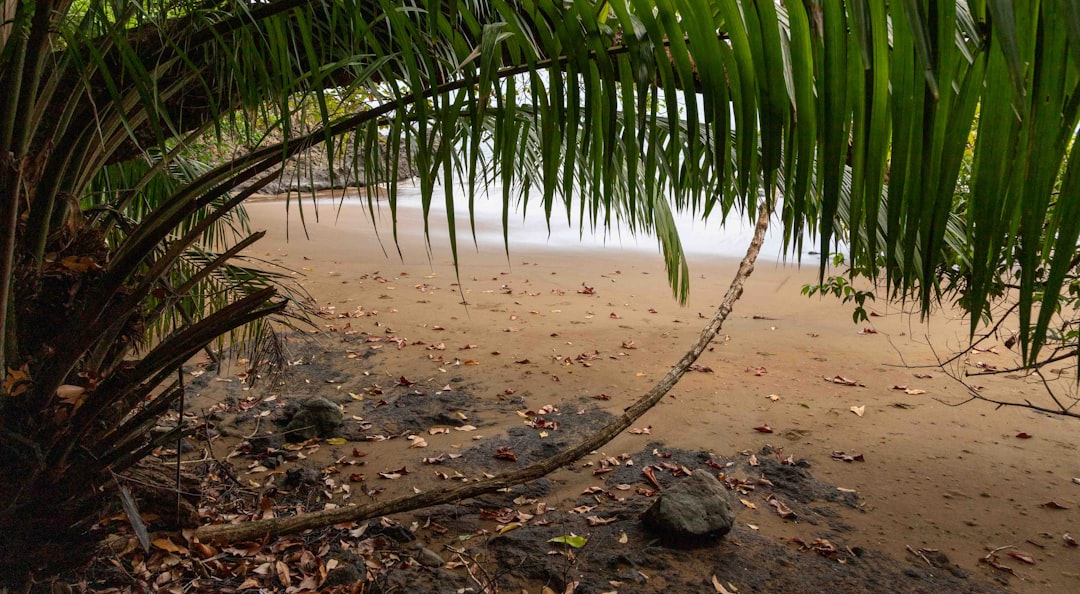 Manuel Antonio