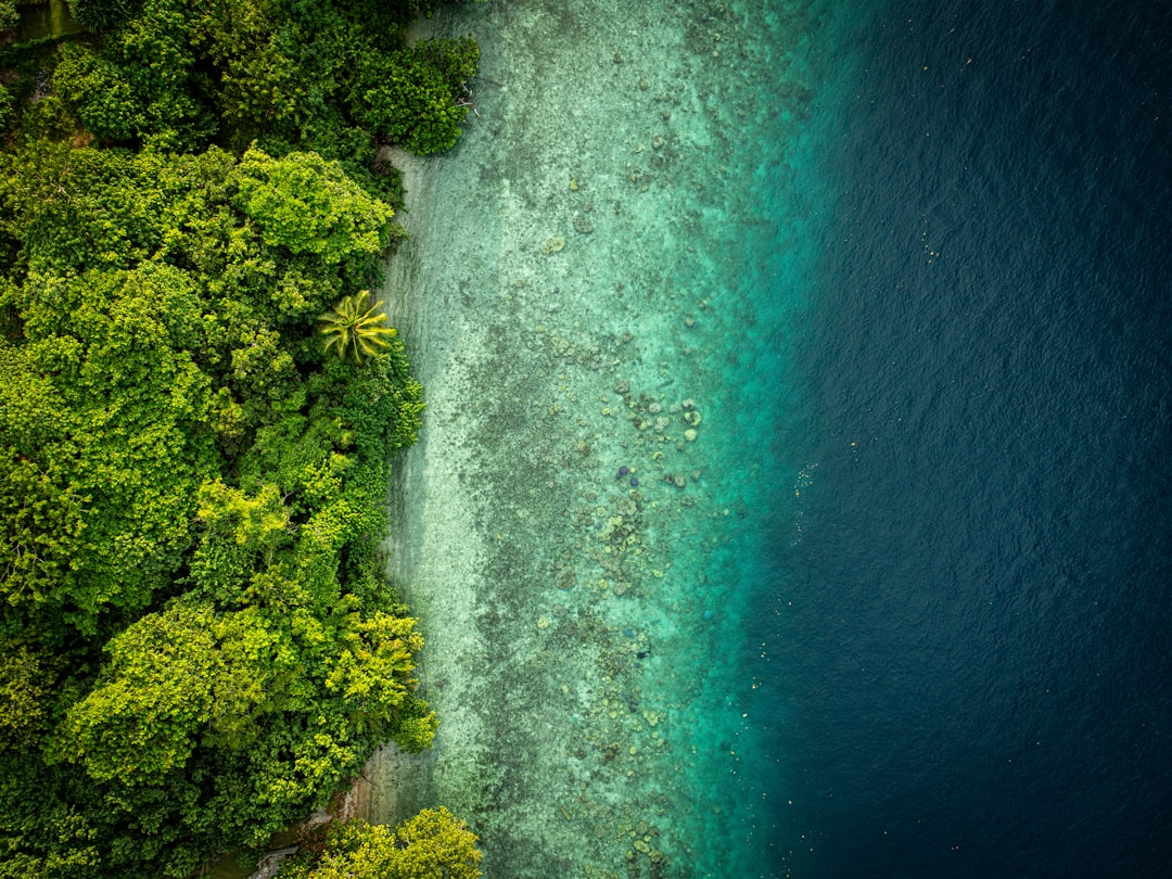 Manuel Antonio
