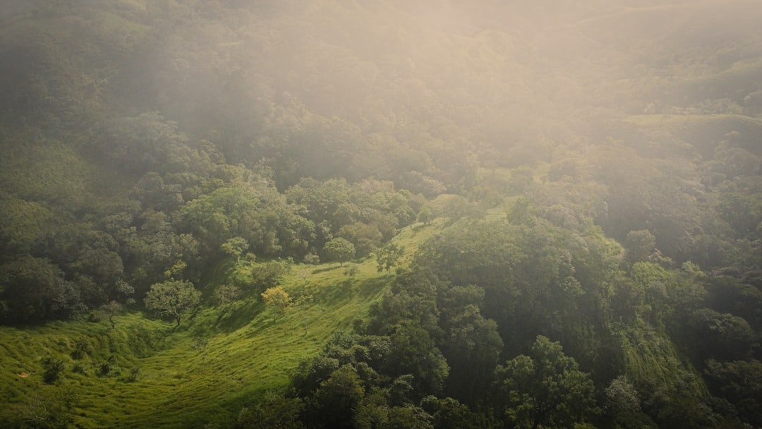 Monteverde