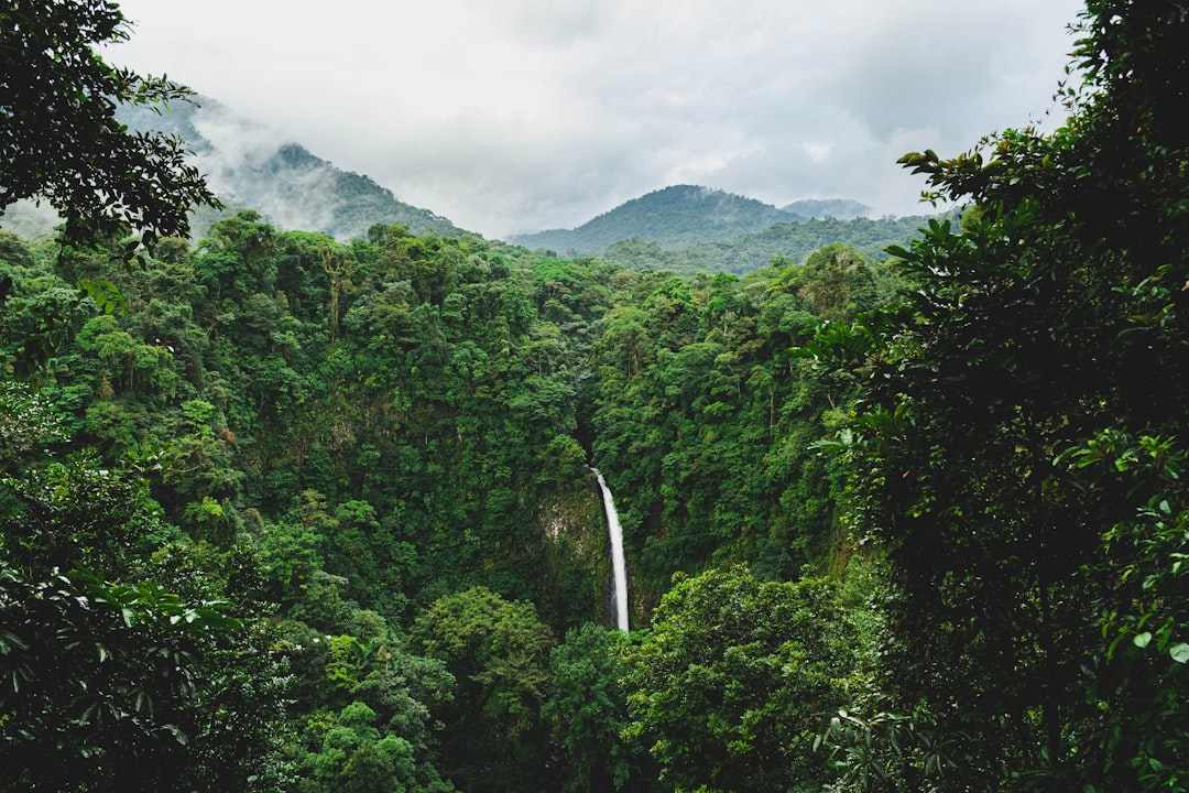 Parc national Corcovado