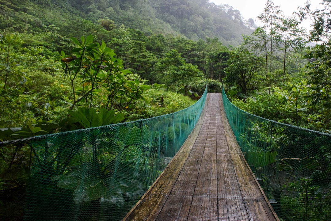 Parc national Corcovado